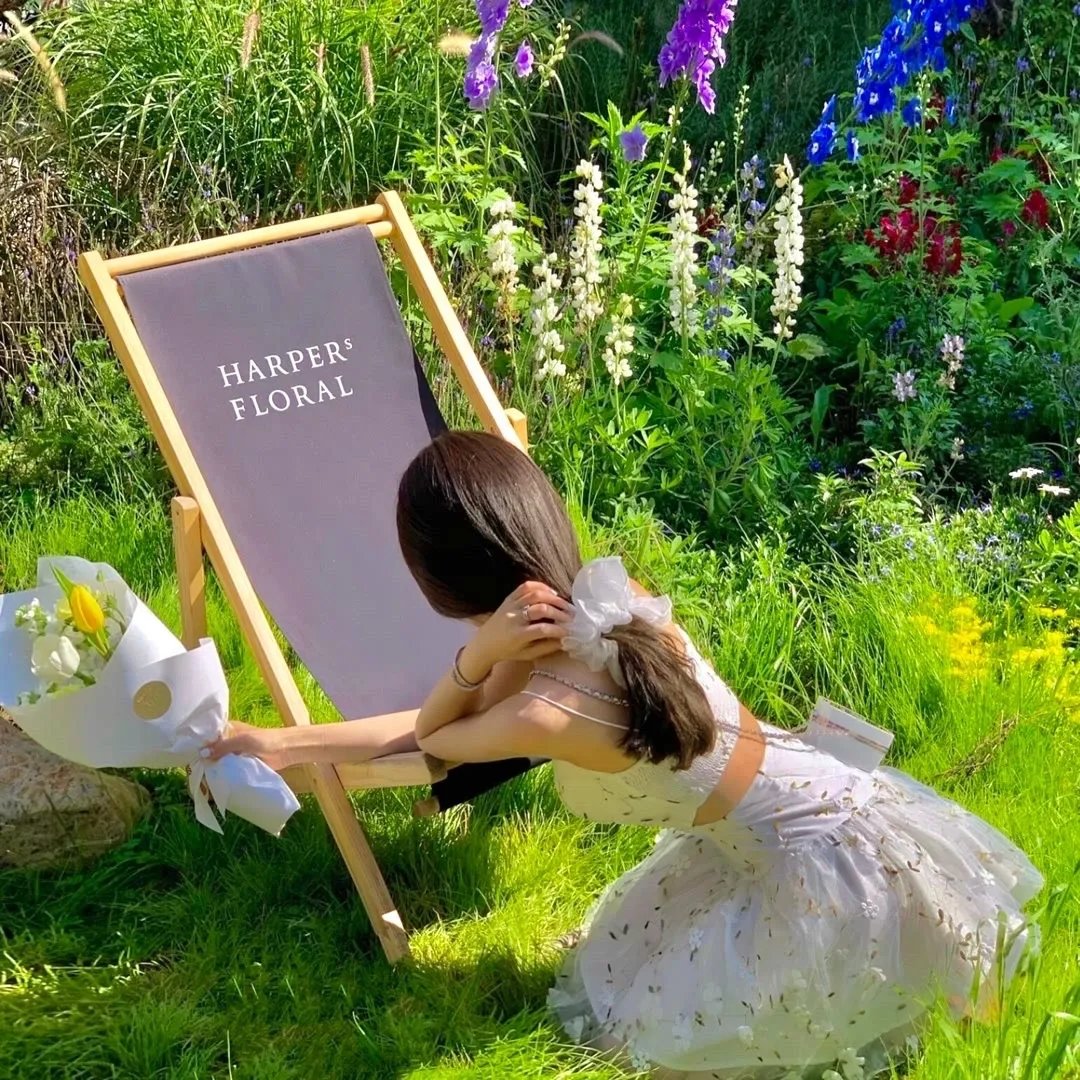 雾城